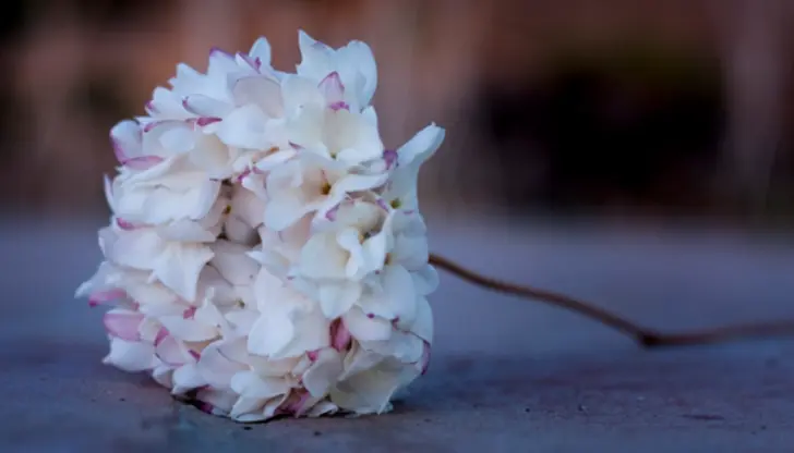 Salud/cheers with a vermut in Spain