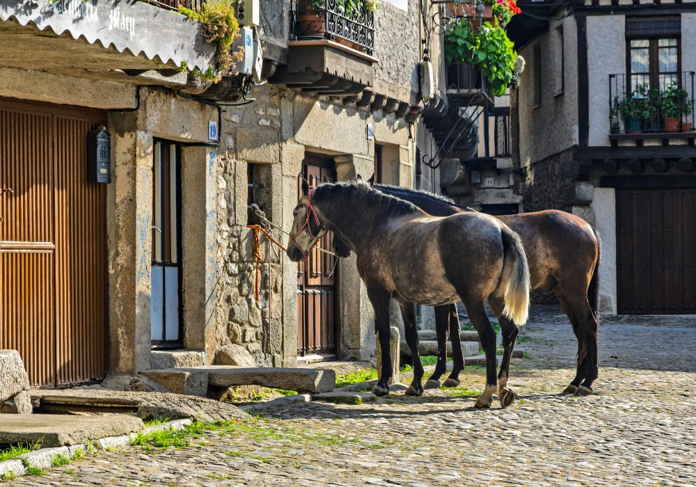 idyllic rural setting in spain, horses tethered outside a home