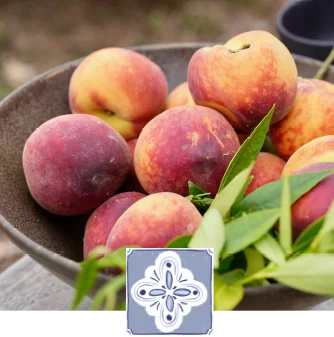 small group tours with biznaga handcrafted group tours with biznaga